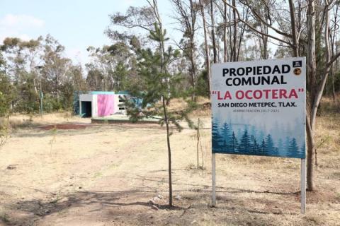 Abandonan la "Ocotera" en Metepec imagen 8