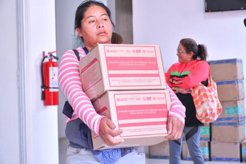 Familias vulnerables de Apetatitlán reciben despensas que inciden a mejorar sus condiciones nutrimentales imagen 8