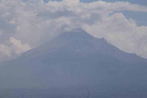 Se "calma" Don Goyo imagen 6