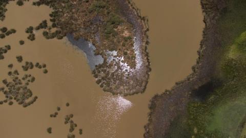Disminuye el nivel de agua de la Laguna "El Ojito", en Apizaquito imagen 2