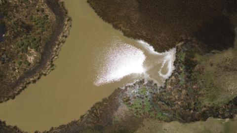 Disminuye el nivel de agua de la Laguna "El Ojito", en Apizaquito imagen 4