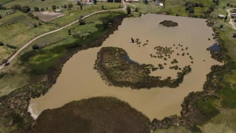 Disminuye el nivel de agua de la Laguna "El Ojito", en Apizaquito imagen 5