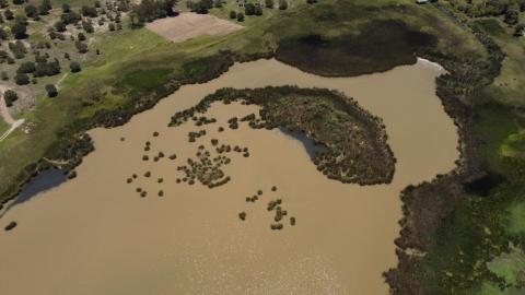Disminuye el nivel de agua de la Laguna "El Ojito", en Apizaquito imagen 6