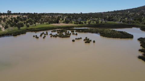 Disminuye el nivel de agua de la Laguna "El Ojito", en Apizaquito imagen 7