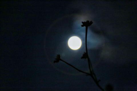 Superluna de Ciervo desde Tlaxcala imagen 1