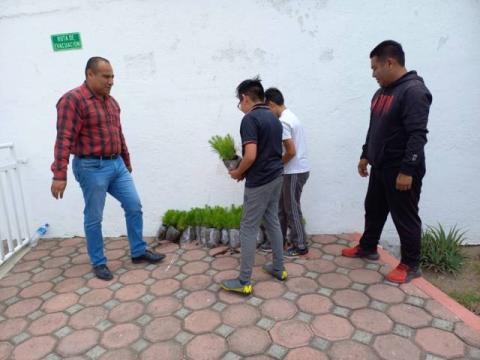 Ayuntamiento de Apetatitlán mantiene campaña permanente de donación y siembra de árboles imagen 5