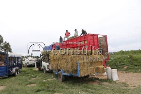 Tianguis de ganado de Villa Alta imagen 1