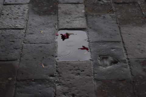 Primer lluvia de la semana en Tlaxcala imagen 1