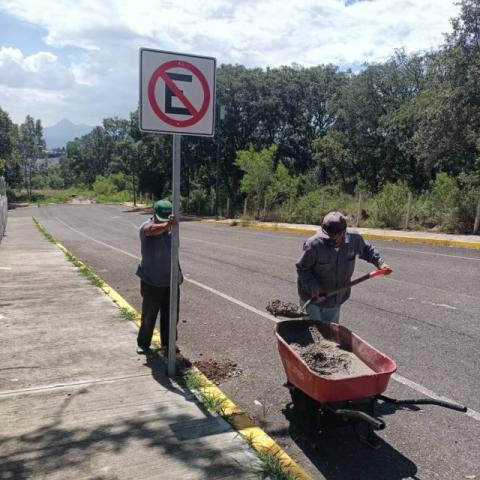 Gobierno de Apetatitlán coloca señalética vial y peatonal en la zona de hospitales imagen 4