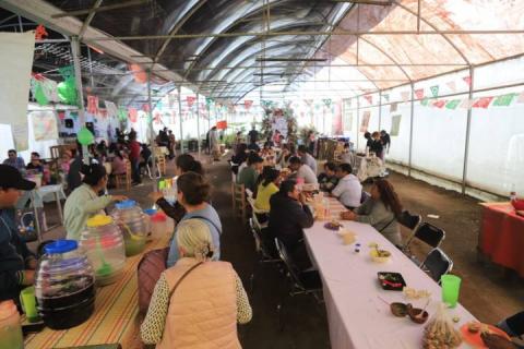 Mercado Alternativo "Topoya de las Flores" celebra su 3er Aniversario imagen 5