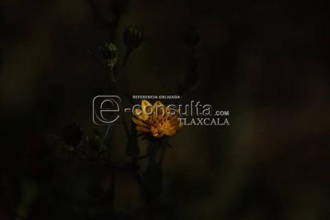 Equinoccio de otoño imagen 7