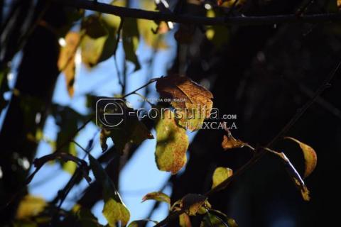 Equinoccio de otoño imagen 8