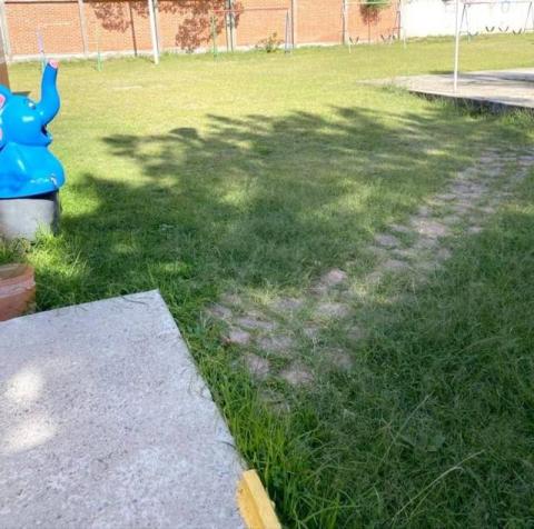 Gobierno de Apetatitlán mantiene poda y limpieza de áreas verdes para seguridad de los ciudadanos imagen 1