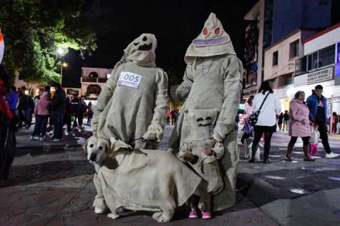 Todo un éxito el tradicional Rueda, Camina o Trota con tu mascota en Apizaco imagen 3