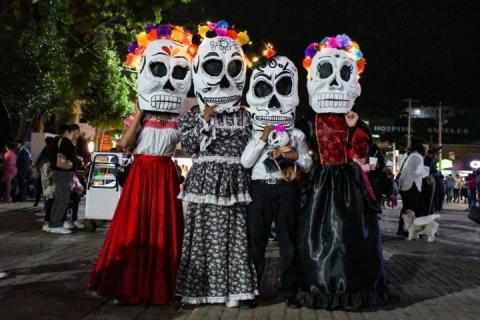 Todo un éxito el tradicional Rueda, Camina o Trota con tu mascota en Apizaco imagen 4