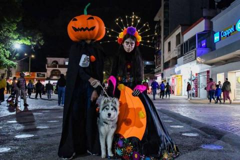 Todo un éxito el tradicional Rueda, Camina o Trota con tu mascota en Apizaco imagen 5