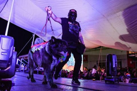 Todo un éxito el tradicional Rueda, Camina o Trota con tu mascota en Apizaco imagen 9