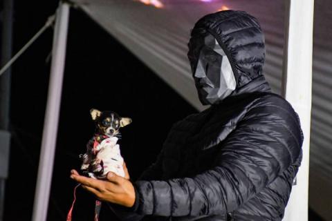 Todo un éxito el tradicional Rueda, Camina o Trota con tu mascota en Apizaco imagen 10