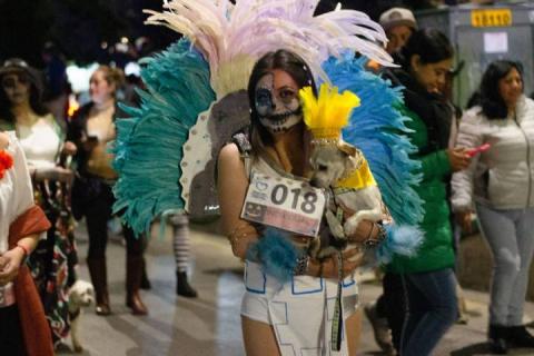 Todo un éxito el tradicional Rueda, Camina o Trota con tu mascota en Apizaco imagen 15