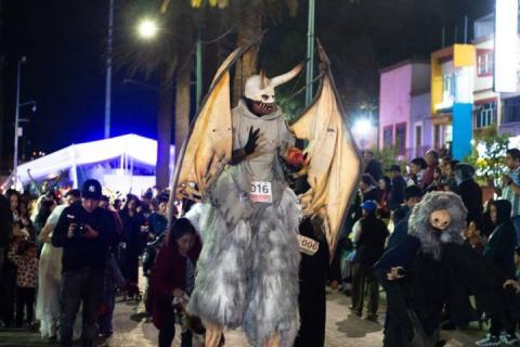Todo un éxito el tradicional Rueda, Camina o Trota con tu mascota en Apizaco imagen 17