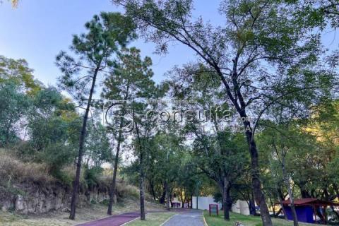 Aspectos del Parque de la Juventud imagen 4