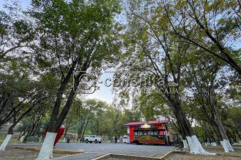 Aspectos del Parque de la Juventud imagen 5