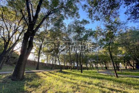 Aspectos del Parque de la Juventud imagen 9