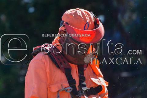 Mantenimiento Carretero: Jardineras en la Autopista San Martín - Tlaxcala imagen 1
