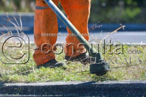 Mantenimiento Carretero: Jardineras en la Autopista San Martín - Tlaxcala imagen 4