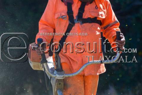 Mantenimiento Carretero: Jardineras en la Autopista San Martín - Tlaxcala imagen 5