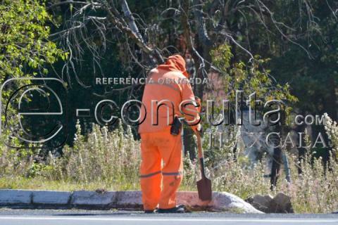 Mantenimiento Carretero: Jardineras en la Autopista San Martín - Tlaxcala imagen 6