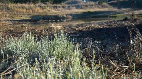 Consecuencias de la Sequía: Jagüeyes Secos en la Región imagen 1