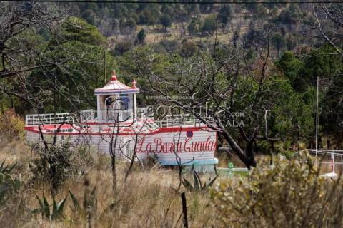 ¿La haz visto? La Barca Guadalupana en Tlaxco imagen 6