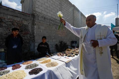 Inauguración del banco de semillas nativas Hyadi en Ixtenco imagen 18