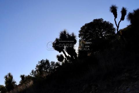 Tlaxcala, un lugar de paisajes únicos imagen 1