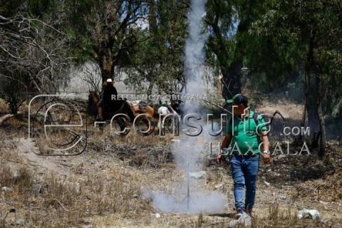 Con burros cargados de leña veneran a San José en la Trinidad Tenexyecac imagen 4