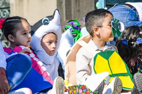 Realizan el desfile del Día de la Primavera y Día Mundial del Agua en Apizaco imagen 12