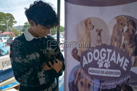 Realizan 4ta edición de “ADOGtame” imagen 3