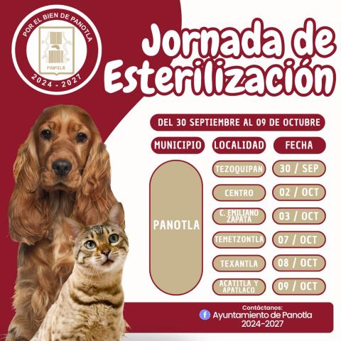 Próxima jornada de esterilización para perros y gatos en Panotla