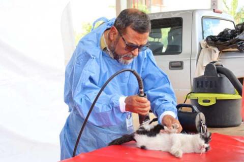 Ya arrancó la campaña de esterilización para perros y gatos: Tepetitla imagen 5