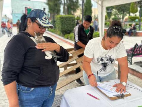 Con la Campaña “Adopta Un Amigo” 17 mascotas tienen un nuevo hogar en Huamantla imagen 2