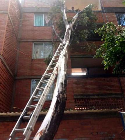 Se continúan atendiendo reportes tras fuertes lluvias en Chiautempan: Blanca Angulo imagen 1