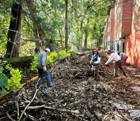 Se continúan atendiendo reportes tras fuertes lluvias en Chiautempan: Blanca Angulo imagen 4