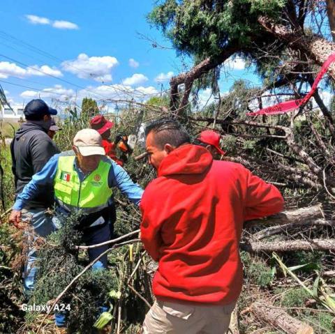Se continúan atendiendo reportes tras fuertes lluvias en Chiautempan: Blanca Angulo imagen 5