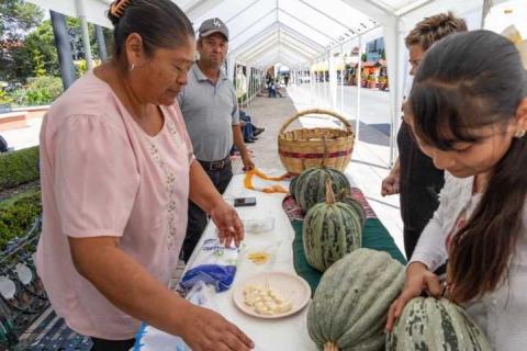 Huamantla revive sus raíces con el tradicional Tianguis del Trueque en el Parque Juárez imagen 1