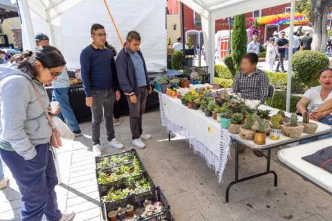 Huamantla revive sus raíces con el tradicional Tianguis del Trueque en el Parque Juárez imagen 7