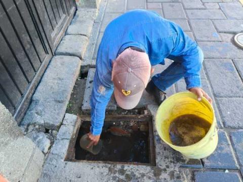 CAPAMH realiza trabajos de reparación de fugas y mantenimiento urbano en distintos puntos del municipio