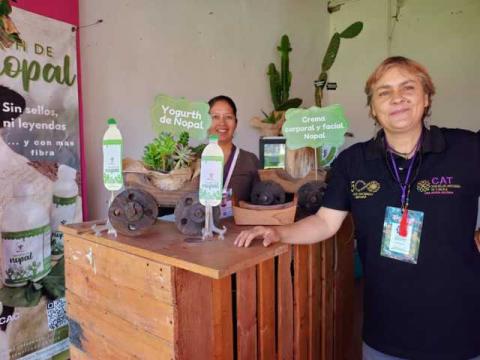 Todo listo para disfrutar de “Tlaxcala, La Feria De Ferias 2025” imagen 2