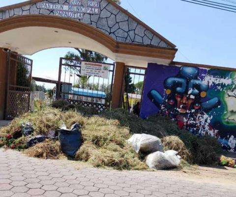 Gobierno de Papalotla realiza faena general en panteón municipal para ofrecer espacios dignos imagen 6