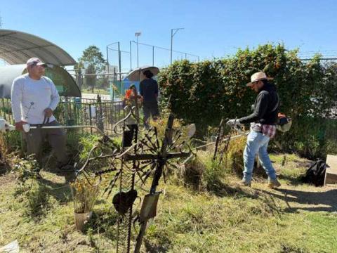 Gobierno de Papalotla realiza faena general en panteón municipal para ofrecer espacios dignos imagen 7